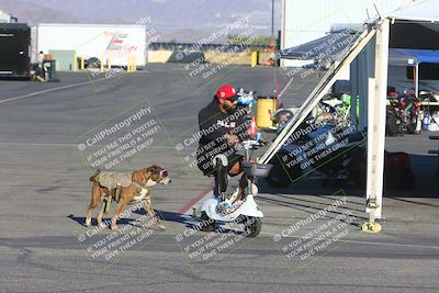 media/Feb-23-2025-2WTD (Sun) [[9604a77d5d]]/1-Around the Pits/